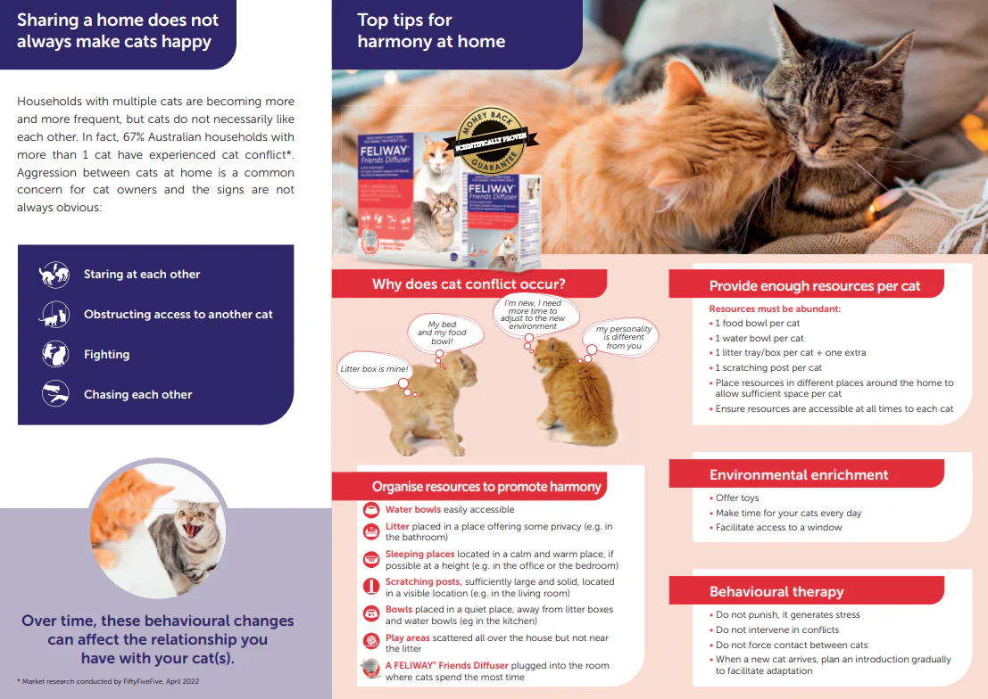 Feliway Friends Diffuser Refill - Image 3