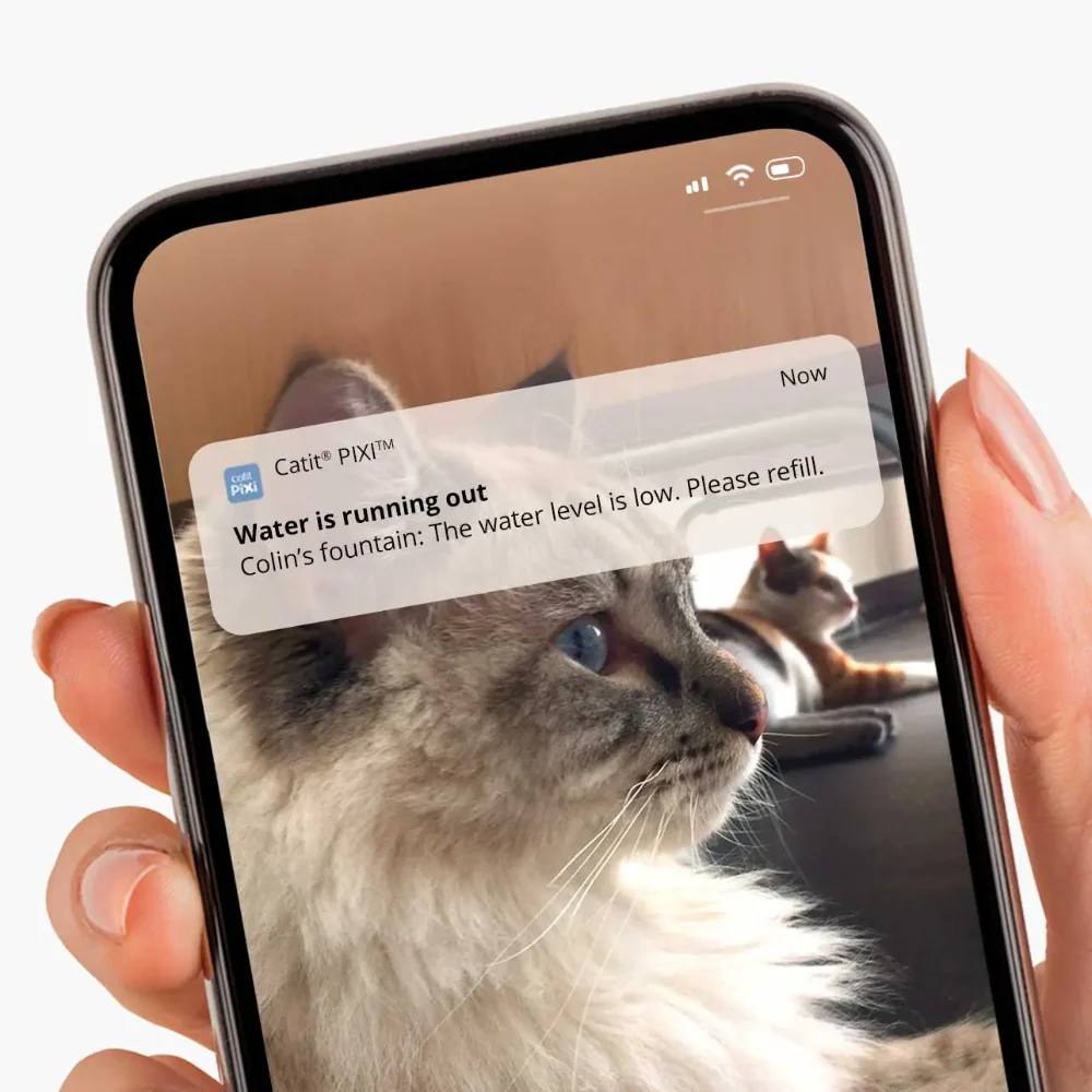 Pixi Smart Cat Drinker - Image 3